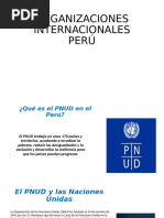 ORGANIZACIONES INTERNACIONALES PERÚ