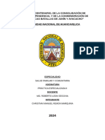 Proceso de Transformación Hacia Las Redes Integradas de Salud en El Perú - Copia