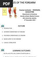 MUSCLES OF THE FOREARM FOR MLS AND NURSING STUDENTS