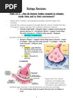 Biology Revision:: Topic 11.1 - How Do Humans' Bodies Respond To Changes Inside Them and To Their Environment?