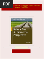 Natural Gas A Commercial Perspective 1st Edition Andrej Pustišek 2024 Scribd Download