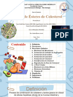 TEMA 6. Síntesis de Ésteres de Colesterol-FINAL