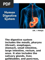 Digestive System