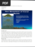 coral reef English SBN NOTES