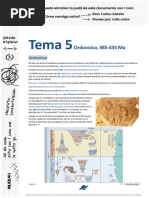 paelo Tema-5-