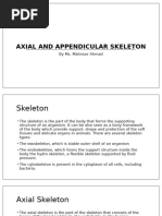 Axial and appendicular skeleton 1st (1)