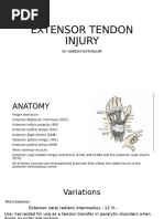 Extensor Injury Part 1 (1)