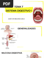 Tema 7 Sistema Digestivo i