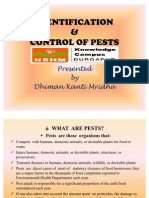 PEST Control