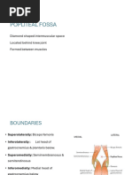 Popliteal Fossa , Femoral a Sciatic N