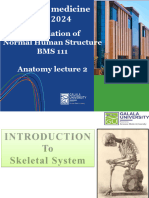 2024 New - Lecture 2 Introduction to Skeletal System-2