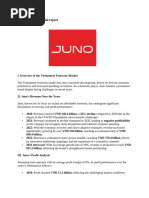 Report on the Juno Shoes