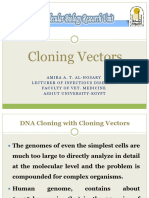 2- Cloning Vectors