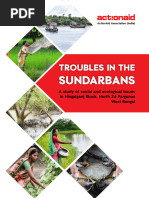 Troubles-in-the-Sundarbans-I-E-book