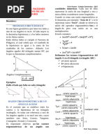 Ficha Teórica_Razones Trigonométricas