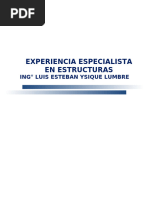 Experiencia Especialista en Estructuras OK