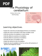 The Physiology of Cerebellum 