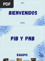 Grupo #1 El PIB y PNB.pdf_compressed