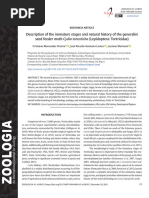 Pereira et al (2024) Description of the immature stages and natural history of the generalist seed feeder moth Cydia tonosticha (Lepidoptera: Tortricidae)