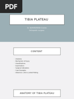 Tibia Plateau