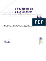 Anatomia Do Sistema Tegumentar - Pele