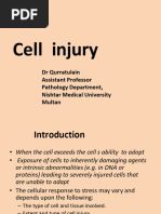 Cell Injury 1styear MBBS Lectures