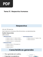 TEMA_31_VIRUS_HERPES_HUMANOS rev