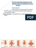 2nd Last Lec of Epithelim by DR Roomi