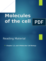 L2 Molecules of the Cell Spring 2016