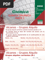 pre_presentacion_17_organica_2021_2_quiroza