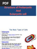 Structure of Prokaryotiv and Eukaryotic Cell