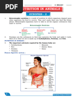 NARAYANA OLYMPIAD BIOLOGY Nutrition in Animals (Class X)