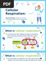 Lesson 5 Cellular Respiration