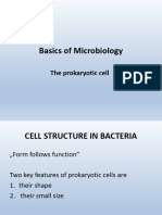 (5) the prokaryotic cell