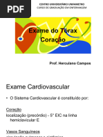 Avaliação Cardíaca_9f58ddb96f5e89b1c6922ccb91b79a6e