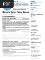 CV - Norberto Daniel Planas Zamora - 03-DIC-2024