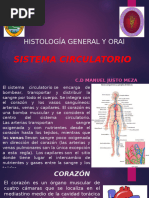 7. Sistema circulatorio