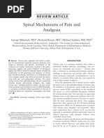 12.Spinal Mechanism