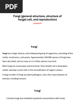 Fungi (general structure, structure of fungal Lecture 8