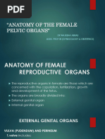 Anatomy of the Female Pelvic Organ.