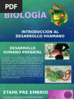 Desarrollo Humano Prenatal