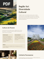 Regiao-Sul-Diversidade-Cultural[1]