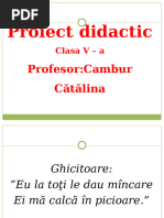 3. 17.09.2024-19.09.2024 Reprezentarea suprafeței pământului.