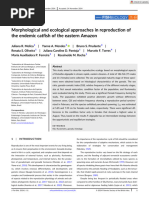 Journal of Fish Biology - 2024 - Molica - Morphological and Ecological Approaches in Reproduction of the Endemic Catfish Of