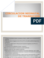 Circulacion Neonatal de Transicion