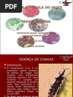 CHAGAS E TOXOPLASMOSE (AULA 3)