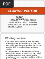 Cloning Vector FINAL PPT