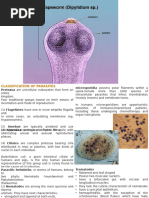 a3GHsDICTXGCJZVKG4XC_14. Parasitology