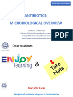 Antibiotics microbiological overview ID block 2023-2024