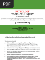 CELL INJURY _ PATHOLOGY